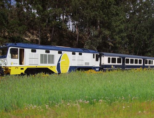 trenesfeveturisticos