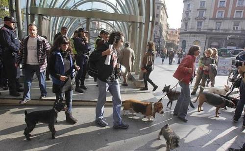 Protesta animalista en el metro de Bilbao