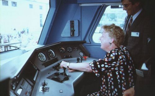 merce_sala_conduce_un_ave