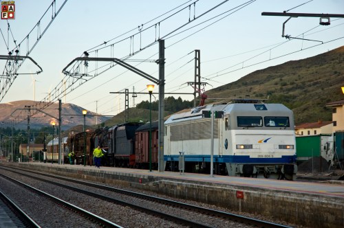 lagata_traslado_mora_la_nova