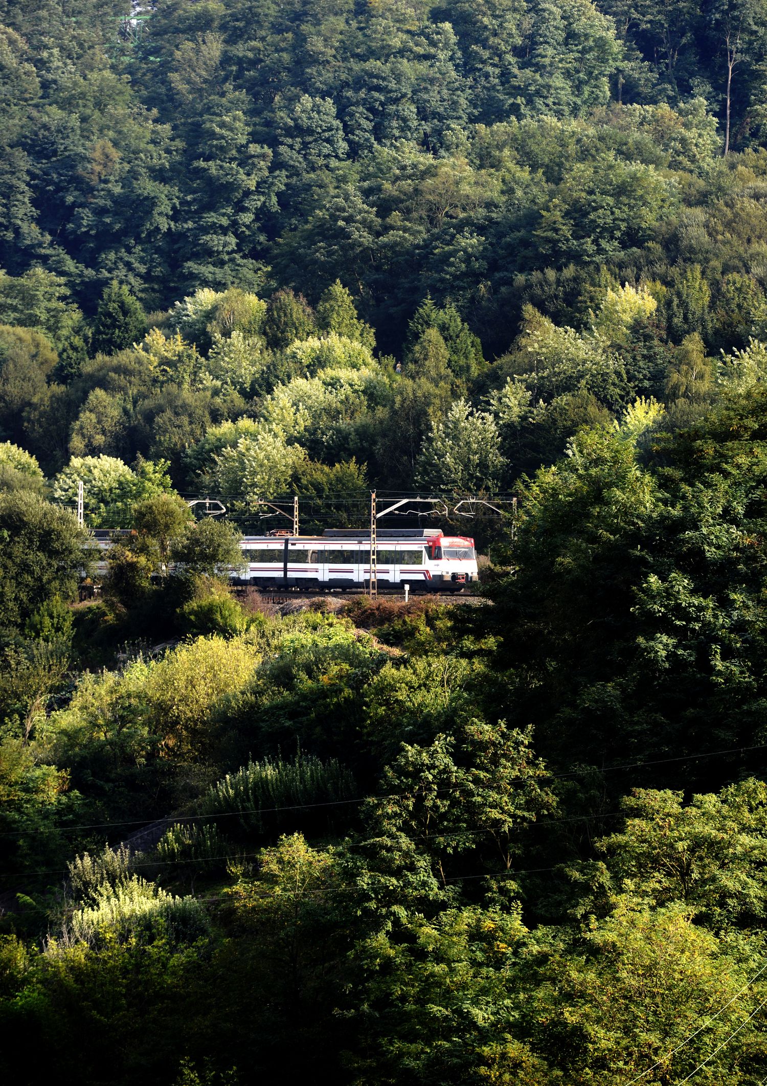 montefuerte-cercanias-renfeTOS BERNARDO CORRAL