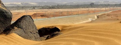 obras-ave-desierto-saudi