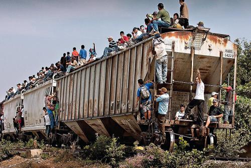 tren-carga-labestia-mexico1