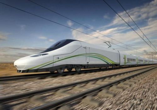 talgo-pato-ave-desierto-arabia2