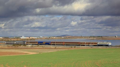 tren-gachas-encabezado-lagata-aafm