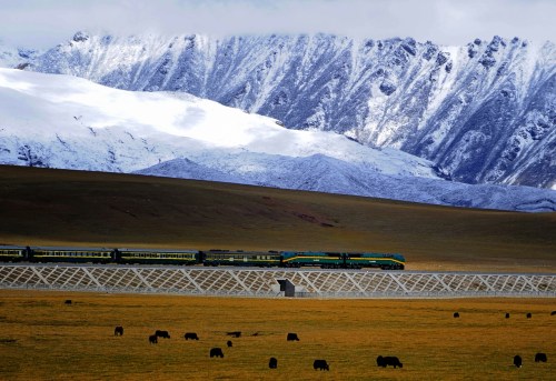 Qingzang-ferrocarril-tibet-china